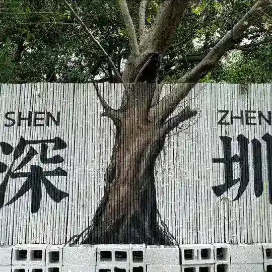深圳修车社区报告