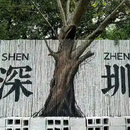 深圳公开榜