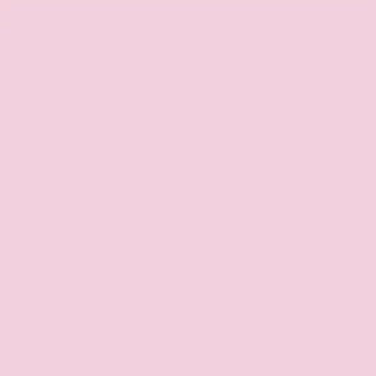 ꒰ა ︶ 𝒞𝘰𝘮𝘮𝘪𝘴𝘴𝘪𝘰𝘯 ℐ𝘯𝘧𝘰 ◠ ｡໒꒱
