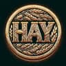 Haycoin - First Token ON Uniswap