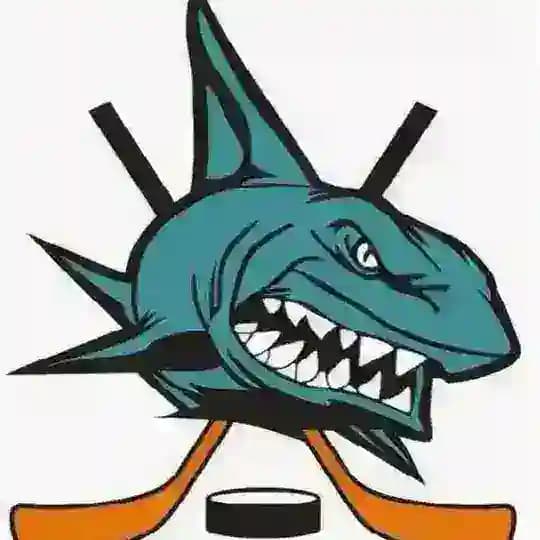 ХК Акулы