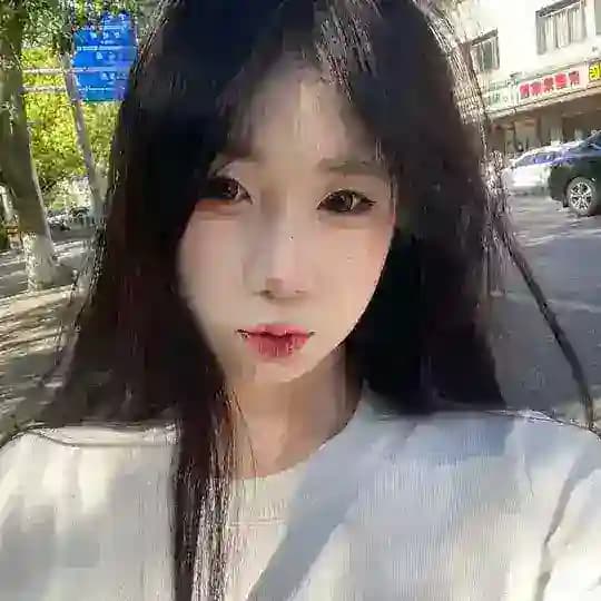 小贝 的后宫