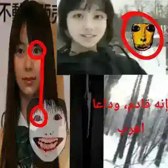 Хи-хи ха-ха