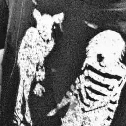 ︎ ︎︎ ︎ ︎︎︎ ︎ ︎ ︎ ︎ ︎ ︎ ︎crimecore Profile