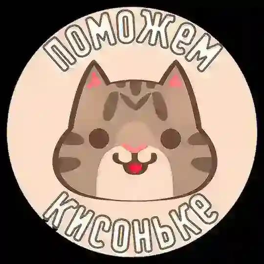 "Поможем кисоньке" Приют для котиков СПБ