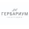 ГЕРБАРИУМ | экостудия