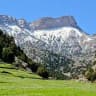 محیط زیست برای همه