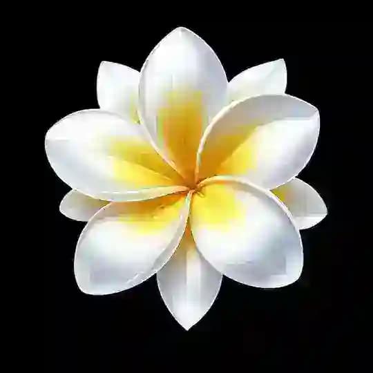 花间报告 Profile
