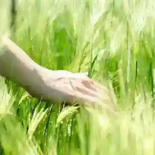 НеМиха