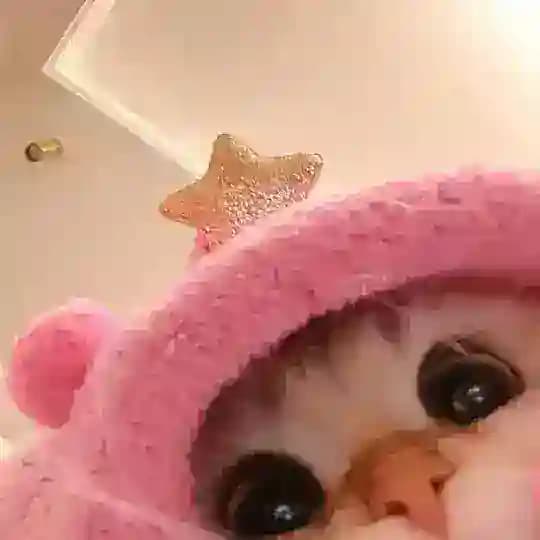 - تمويلاتي .