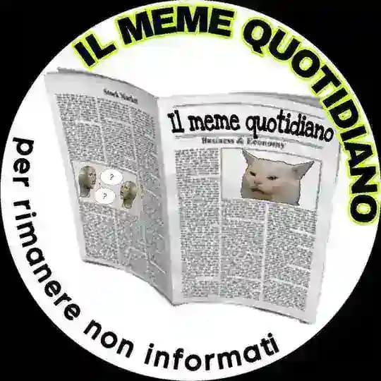IL MEME QUOTIDIANO