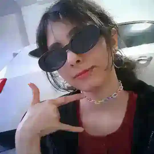 هلی سان