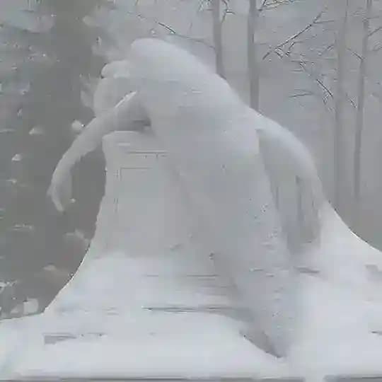 ππ»π³πΌ