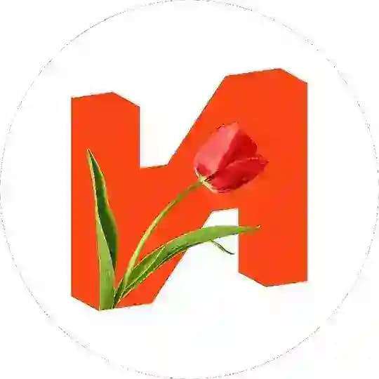 ИНСИТИ девелопмент