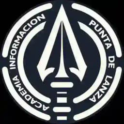 ACADEMIA INFORMACIÓN PUNTA DE LANZA Profile