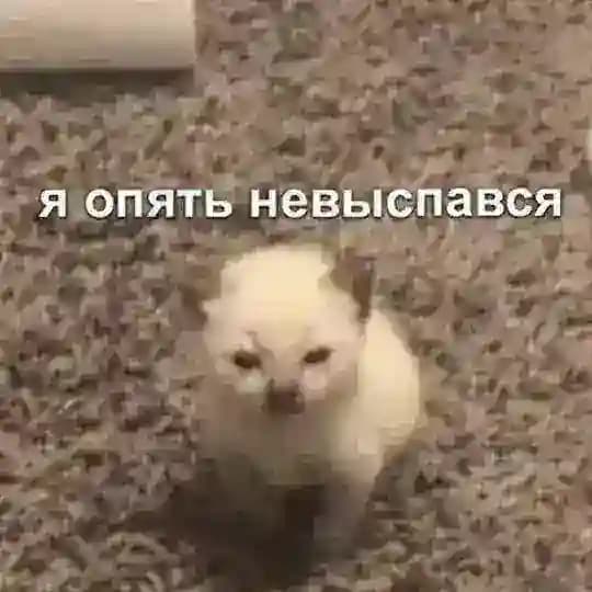 ✨Джейн косплеит✨