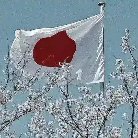 Japan CF