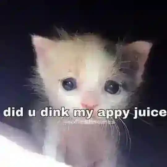 яша штазя (+сеттинговый лор)