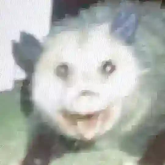 Крысошутье логово