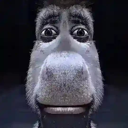 жёсткий ДенИСК