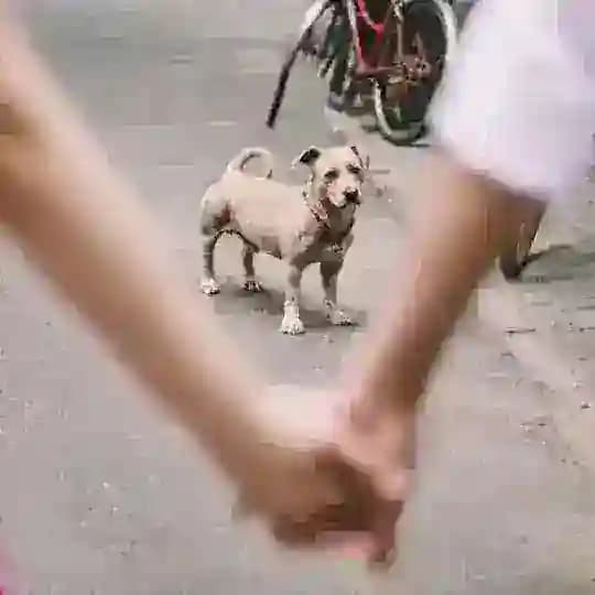 热点恋综|奇葩情侣|变态剧情💥