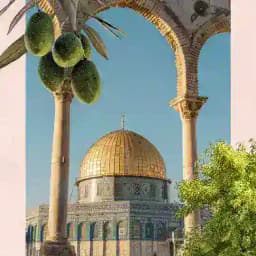 يَقـِـين🩵 Profile