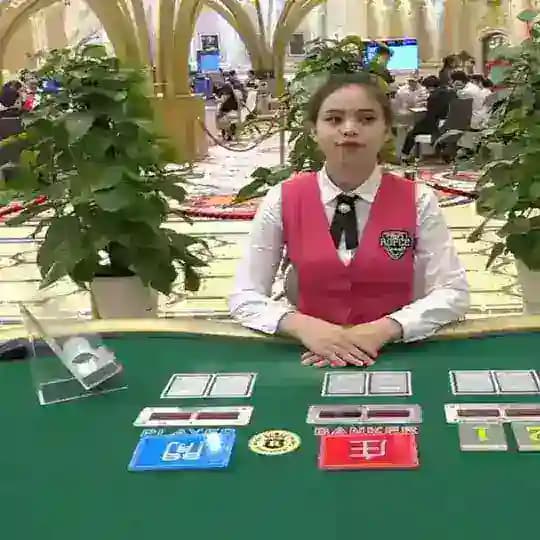 球速体育/代理/官方招商/新盛娱乐/真人/百家乐/PG电子/AG电子/百家乐/棋牌