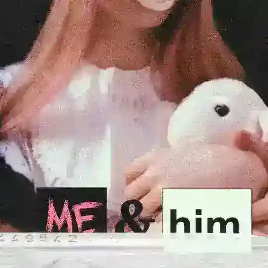 šš“šššššššš ā¢ _ į“°įµįµįµįµŹ³įµ'Ė¢ Ė”įµįµįµ āāāš