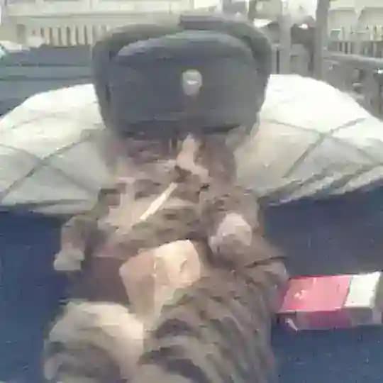 са́спенс or винс разглагольствует