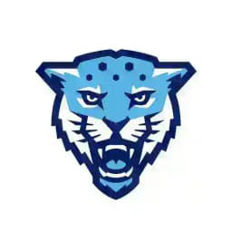 Спортивный хакинг (CTF) | Кронверкские барсы | ИТМО Profile