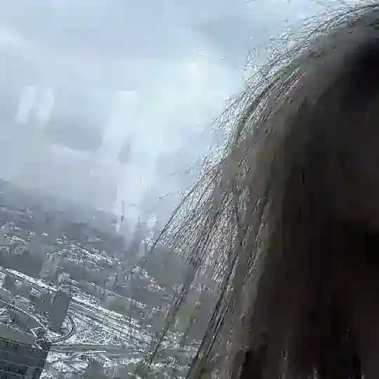 келллимайхарт