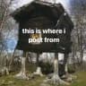 темные тропы