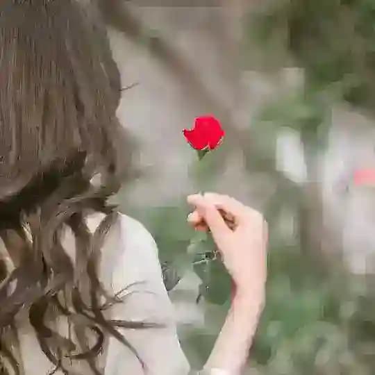 صیغه یابی ، موقت ، همسریابی ، ارضا ، بدون پیش پرداخت ،