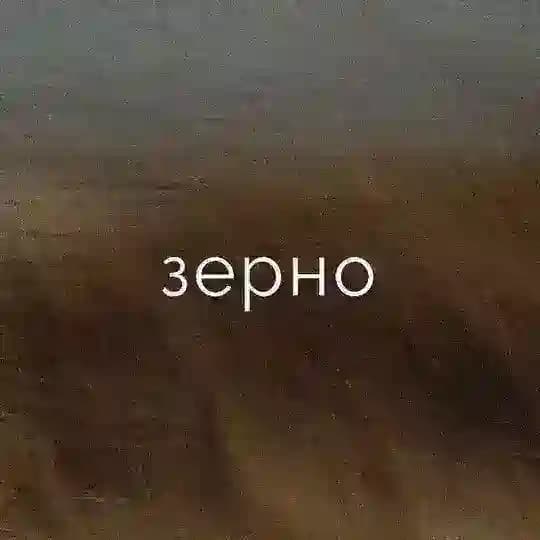 киноклуб «зерно»