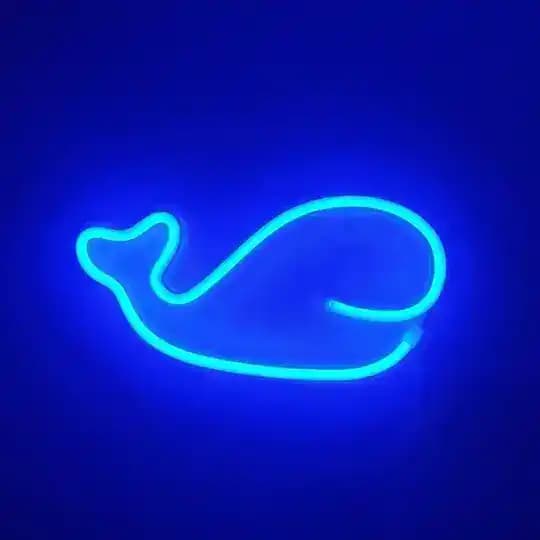 🐋Кит Тюлень🦭
