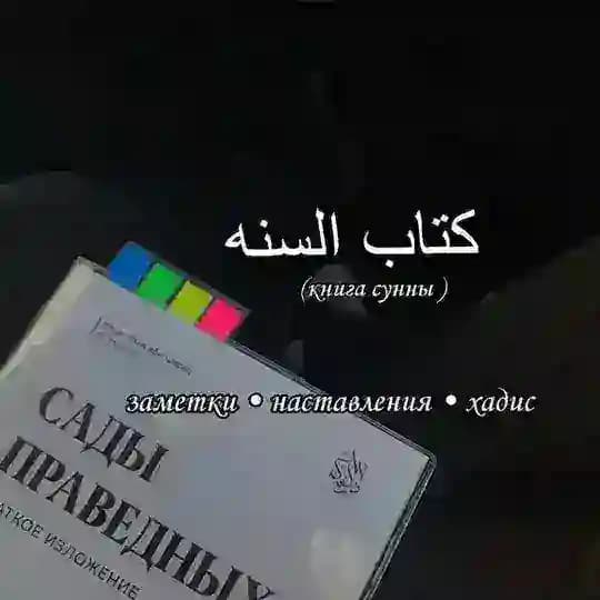 كتاب السنة📚