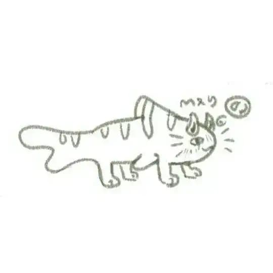KYUMA