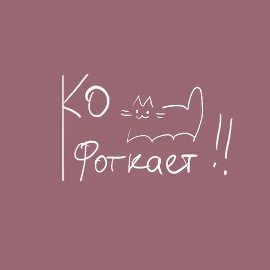 ко фоткает !!