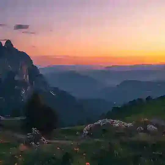 Красота без слов