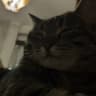 Kora