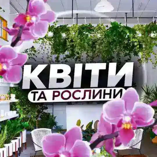 Квіти та рослини