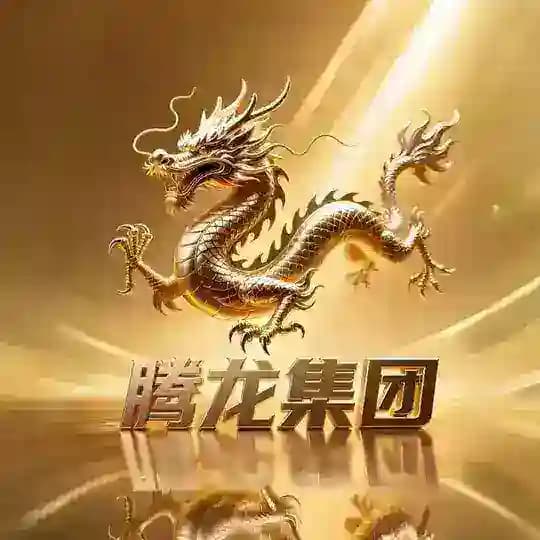 腾龙集团 专注色粉 Profile