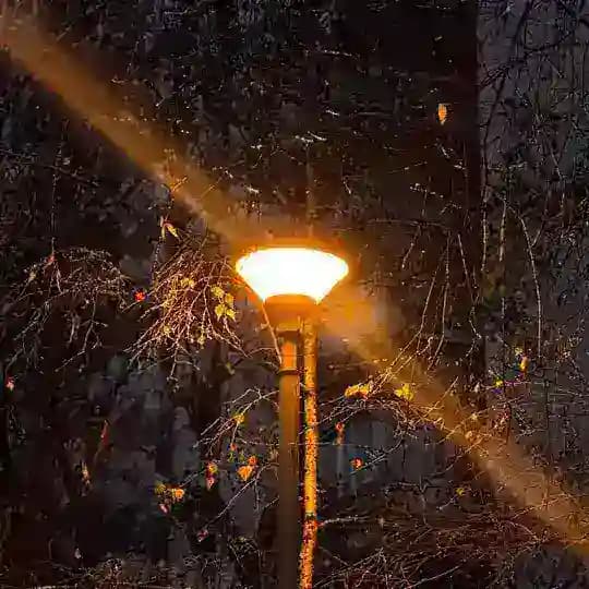 lantern
