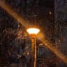lantern