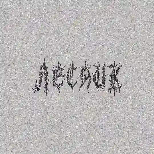 LESNIK