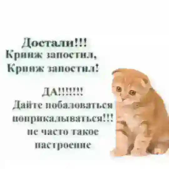 Тофифи опять ноет