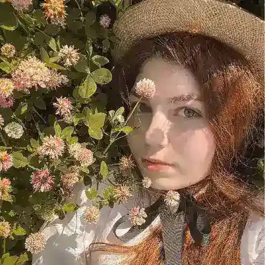 Ласточка
