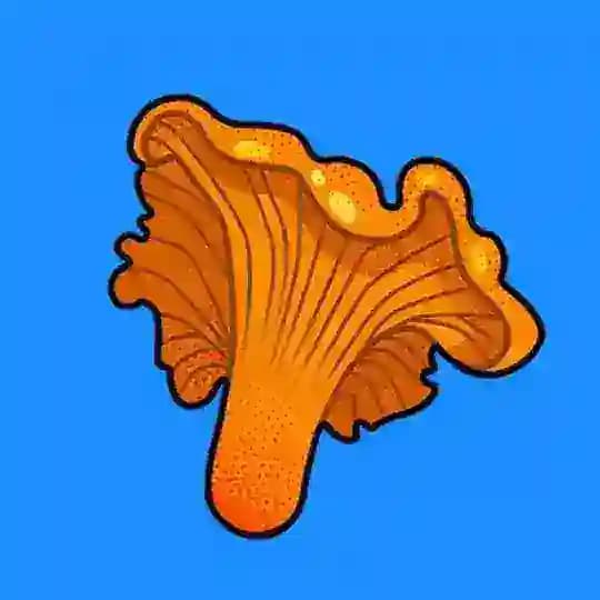 🍄Лисичка🍄 (MerryWind)