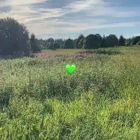 Агроусадьба Лисья Дача 🦊