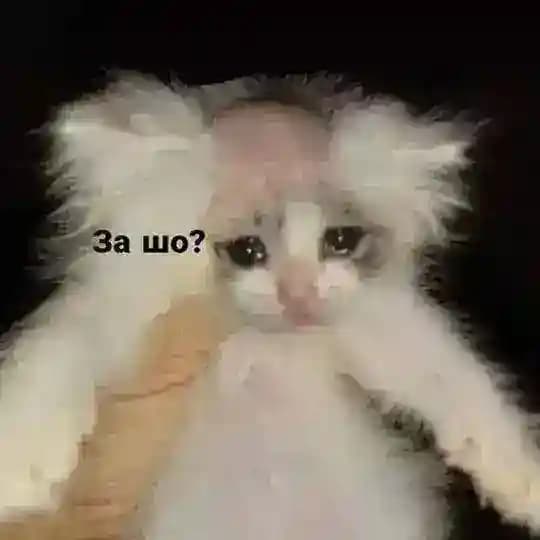 Ливень в междумирье ^☕️^